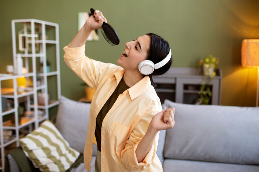 jual alat karaoke rumah