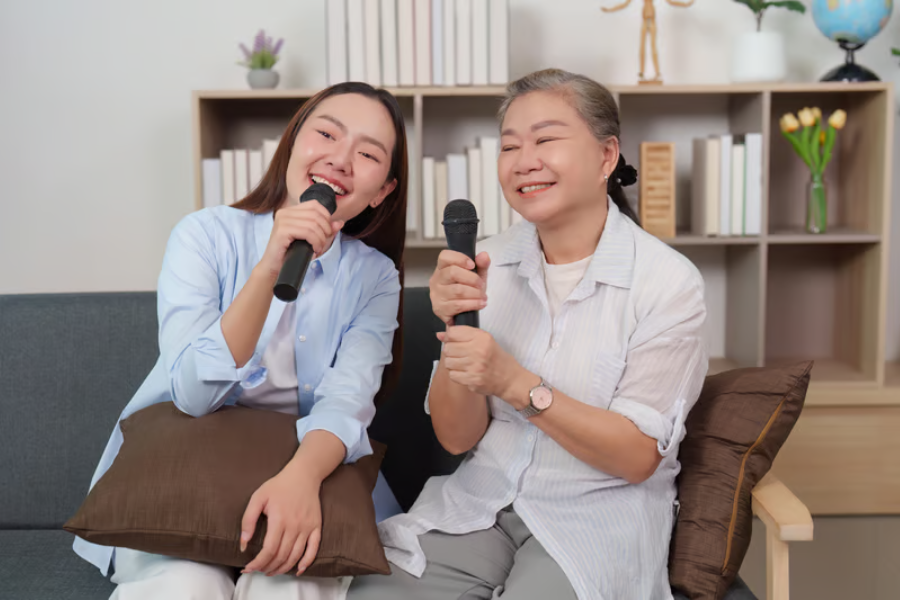 home karaoke system one plus